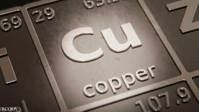 Morley Robbins - The poorly understood role of copper in anemia