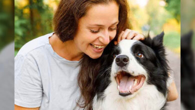 Mutual doctors have your vet bill so you and your dog can focus on the fun