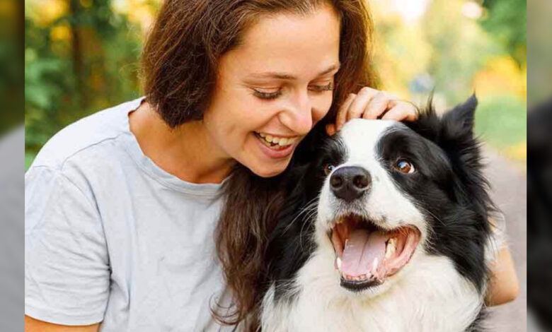 Mutual doctors have your vet bill so you and your dog can focus on the fun