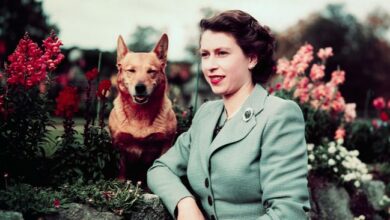Remembering Queen Elizabeth II's most historic moments