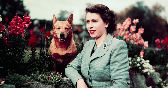 Remembering Queen Elizabeth II's most historic moments