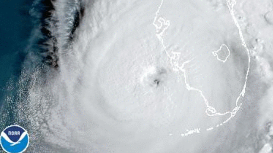 Hurricane Ian makes landfall in southwest Florida: NPR