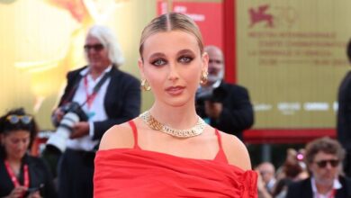The most beautiful red carpet seen from the Venice Film Festival