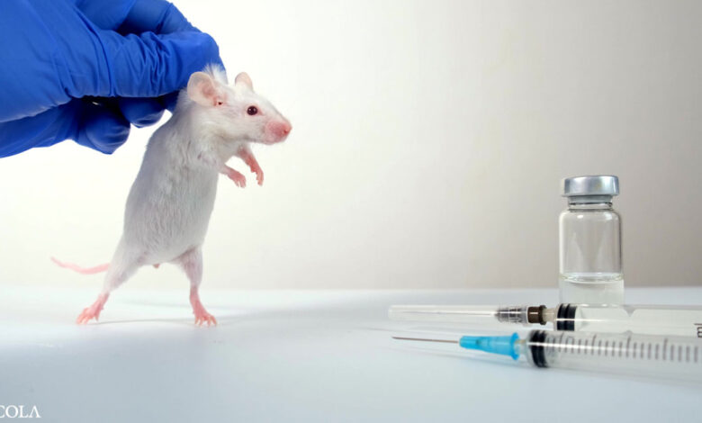 New COVID vaccine has only been tested on mice