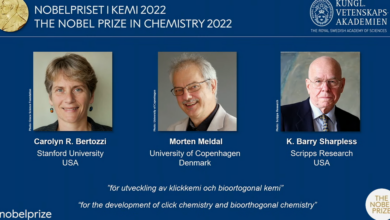 Nobel Prize in Chemistry awarded to 3 scientists for work 'Shooting molecules together'