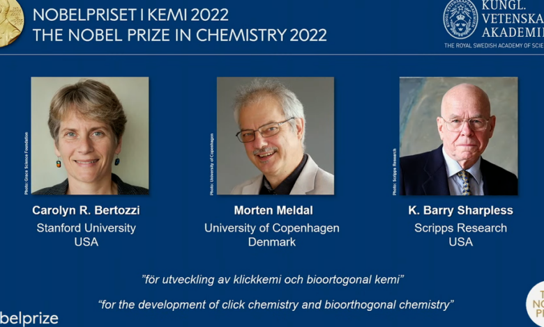 Nobel Prize in Chemistry awarded to 3 scientists for work 'Shooting molecules together'