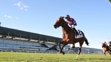 The top females in the USA face the males in the Breeders Cup