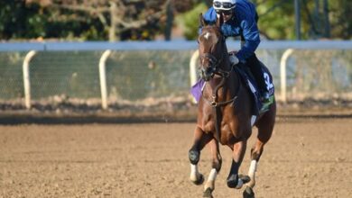 Domestic spending makes a blow to history in BC Mile