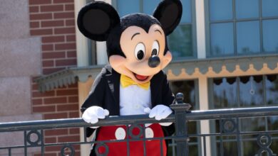 US Disney theme parks increase ticket prices showing continued strong demand and pricing power