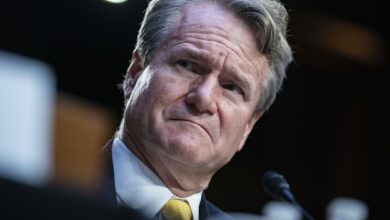 Bank of America CEO says US economy is seeing 'slight drop' in growth, not a slowdown