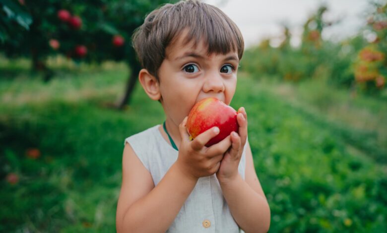'These 6 foods will help your child's mental sharpness and focus'