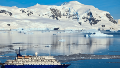 “The East Antarctic Peninsula Ice Sheet Has GROWTH over the past 20 years” - Emerging for it?