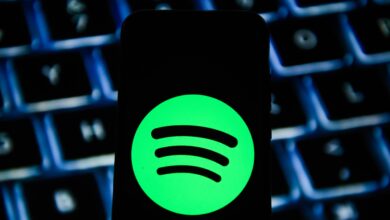 Spotify CEO says company is considering increasing subscription prices in 2023