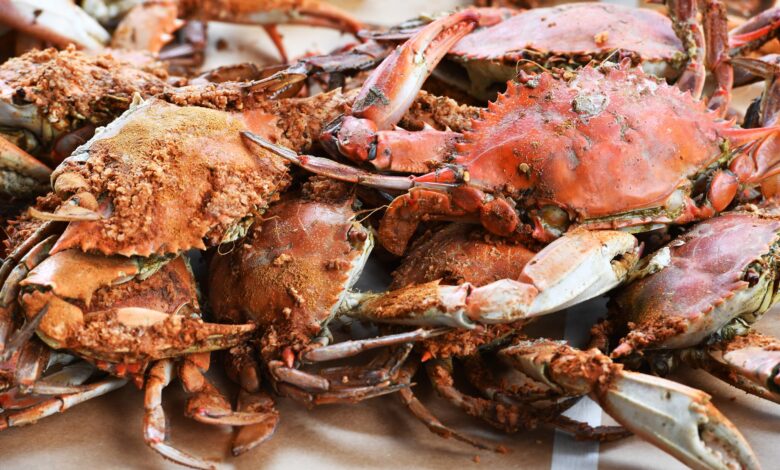 A billion crabs have disappeared and researchers can't explain why