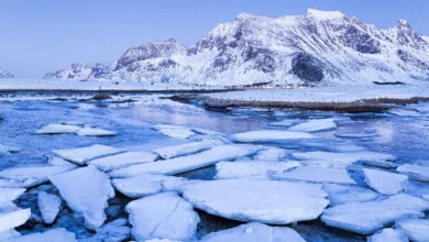 Scientists Find a Link Between Rapidly Melting Arctic Ice and Ocean Acidification - Watts Up With That?