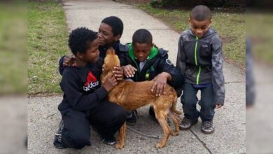 Four kids rescued a dog brutally tied up with a bungee cord