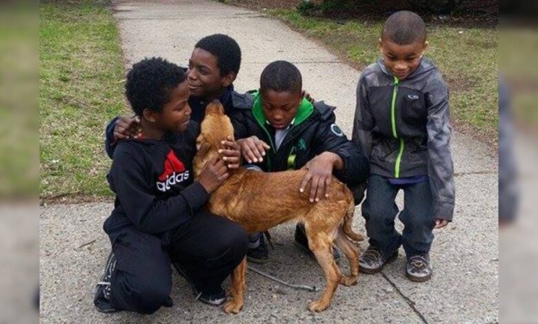 Four kids rescued a dog brutally tied up with a bungee cord