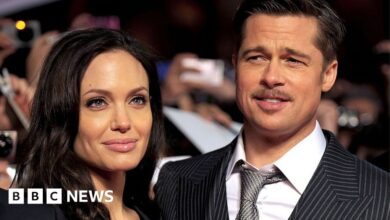 Angelina Jolie accuses Brad Pitt of abuse on private jet