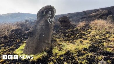 Easter Island: Sacred statues ravaged by wild fire