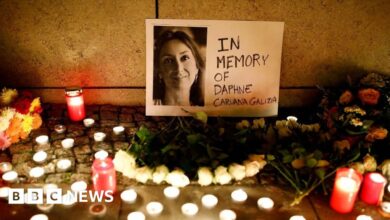 Daphne Caruana Galizia: Two brothers guilty of murdering Maltese journalist