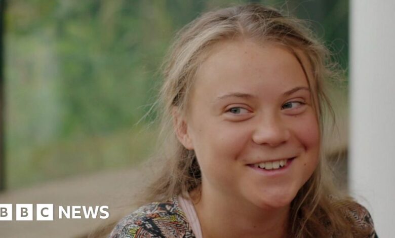 Thunberg: I ​​don't want to get into politics