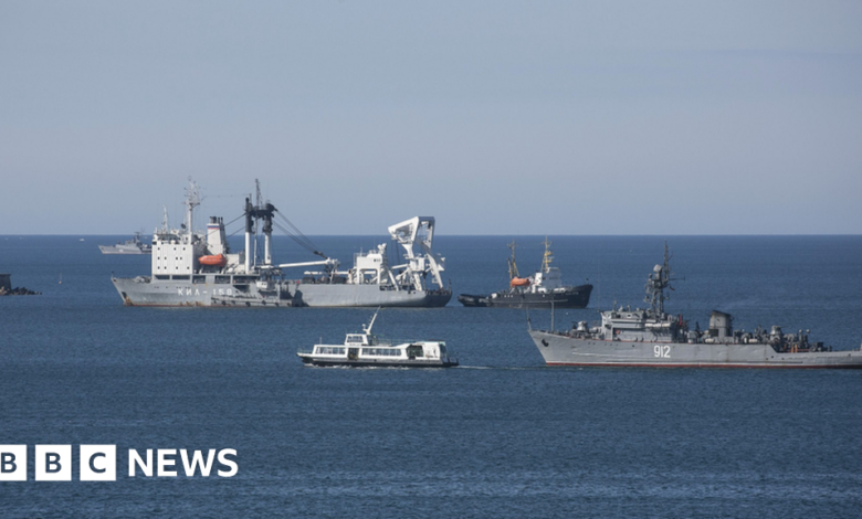 Drones 'massively' attacked the Black Sea Fleet - Russia