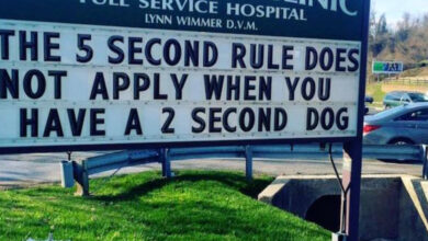 Think Vets have no sense of humour?  Check out these 13 signs