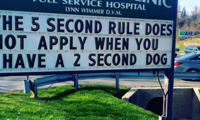 Think Vets have no sense of humour?  Check out these 13 signs