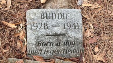 Dog honored with 80-year-old gravestone "died a gentleman"