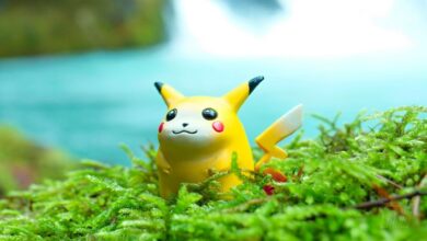 The world's largest collection of Pokémon is estimated to sell for up to £300k at auction later this month
