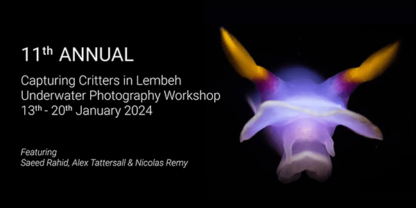 Annual workshop back in January 2024