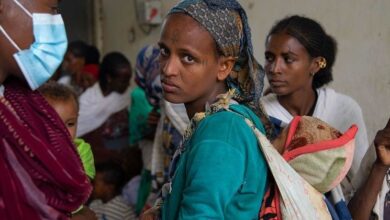 Northern Ethiopia is facing a serious increase in preventable disease: WHO |