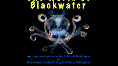 “The World of Blackwater” by Mike Bartick
