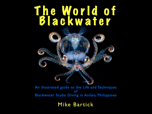 “The World of Blackwater” by Mike Bartick