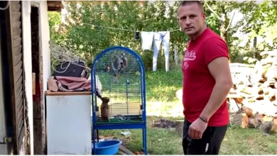Man is outraged when he hears rumors about a puppy living in a birdcage, dying of smoke