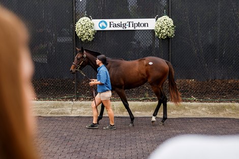 Uncle Mo Filly Tops Day 1 by FT Midlantic for $320K