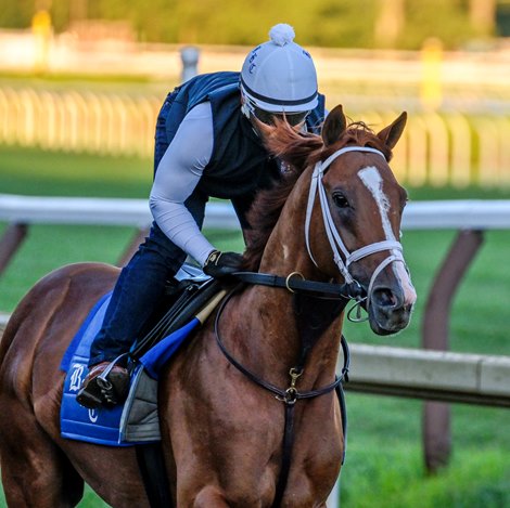 Cyberknife, potentially for Dirt Mile, leads Cox .'s BC Team
