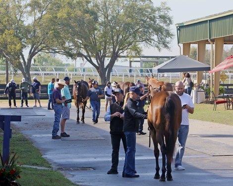 Bring on the heat at OBS October Sale