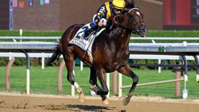Olympiad to enter Stud at Gainesway in retirement