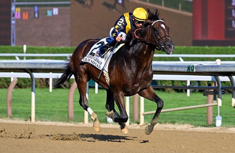 Olympiad to enter Stud at Gainesway in retirement