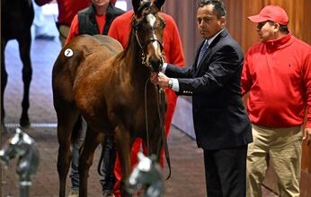 Weanlings Offers Powerful Renewable Fuel Saratoga Fall Sale