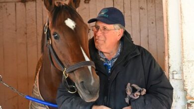 Bell's the One Will Not Run in BC Filly & Mare Sprint
