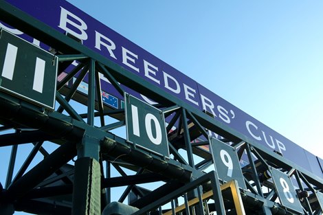 Breeders 'Cup Pre-Entries Whet Appetite for Showdowns