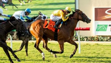 Twilight Sparkle Strong Opponent In Franklin Stakes
