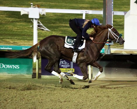 The Vow of Secrets, Taiba Breeze before the Breeders Cup