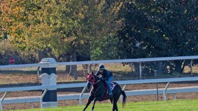 The Tyler Tribe to Turf in Keeneland Breeze