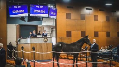 End of Midlantic Fasig-Tipton sale with trading activity
