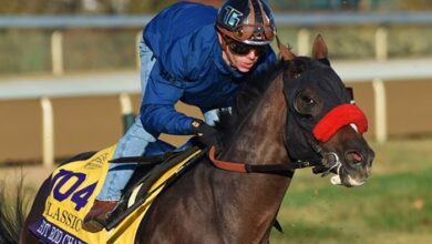 Hot Rod Charlie appears in the last work before BC Classic