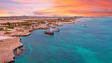 Return flights to Aruba for as low as $290
