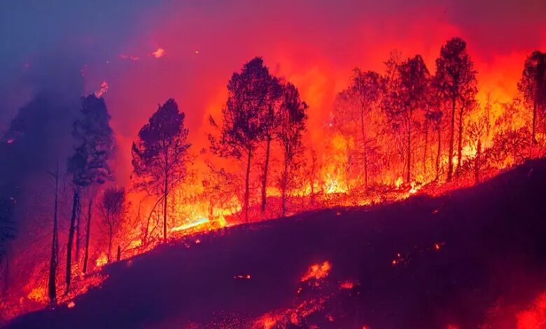 LA Times reveals 2020 CA Wildfire CO2 erased 18 years of state emissions cuts - Is it up thanks to that?